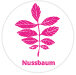 Nussbaum (Massivholz)